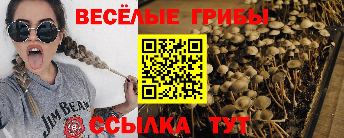 Галлюциногенные грибы мухоморы Ипатово