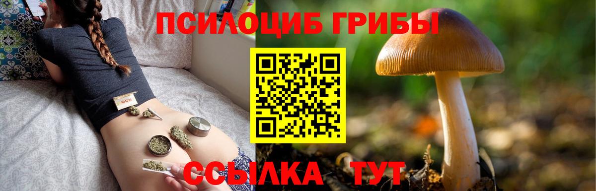 продажа наркотиков  Псилоцибиновые грибы ЛСД  Вход с VPN  Ипатово 